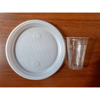 Disposable Plastic Plate